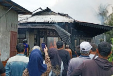 Sijago Merah Membakar Rumah yang Lagi Kosong