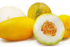 3 Macam Buah-Buahan Untuk Menemani Berbuka Puasa