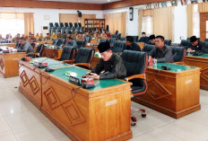 Anggota DPRD Bengkulu Utara Masih Fokus Kerja Diakhir Masa Jabatan