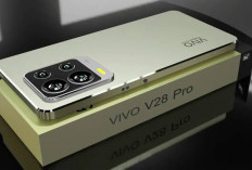 Vivo Y200i Resmi Dirilis, RAM Hingga 12 GB, kamera 50 MP, dan Baterai 6000 mAh