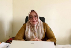 Dampak Bencana Alam, 80,33 Hektar Lahan Terendam Banjir