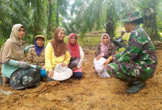 Satgas TMMD Ke-124 Kodim 0408/BS Komsos Dengan Ibu – Ibu