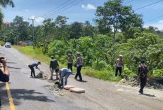 Rawan Kecelakaan, Polres Tutup Lubang Jalan di Seluma