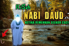 Dari Kisah Nabi Daud AS dan Cacing Merah, Pelajaran Apa Yang Bisa Kita Ambil