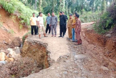 Cek Jalan Ambles, Bupati Seluma Janji Segera Perbaiki