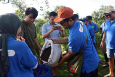 Jejakkan Kaki di Desa Sejahtera Astra,Bawa Pulang Pengalaman Pedesaan Bersama FIFGROUP