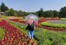 3 Tempat Wisata di Bandung yang Pas Dikunjungi Ketika Musim Hujan