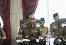 Dugaan Praktik Jual Beli Jabatan, Bupati Seluma Lepas Tangan