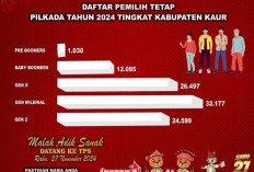 KPU Kaur Klasifikasi Pemilih Berdasarkan Generasi 