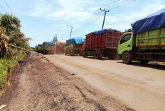 Sopir Truk Keluhkan Antrean Panjang dan Kemacetan di Pulau Baai yang Mengular di Provinsi Bengkulu