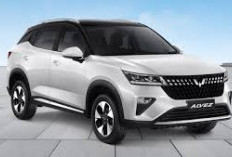 Mobil Bekas Warna Putih Rentan Kusam? Berikut Tips Agar Mobil Putih Tetap Seperti Baru