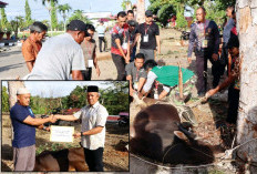 Polres Bagikan 492 Kantong Kurban