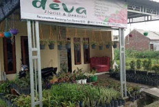  4 Toko Buket Bunga Valentine di Denpasar dengan Harga Terjangkau yang Wajib Dikunjungi, Cocok Buat Hadiah 
