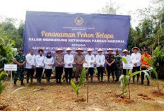 Dukungan Ketahanan Pangan, Kemenimipas RI Tanam 2000 Kelapa di Kabupaten Kaur