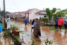 Banjir Melanda Puluhan Rumah di Bengkulu   