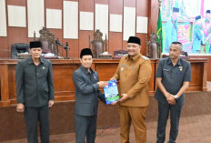 Wakil Walikota Bengkulu Ronny Tobing Optimis Pemkot Mampu Maksimalkan Peningkatan PAD