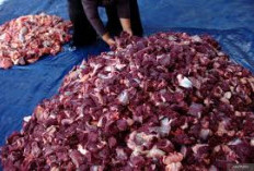 Apa Hukum Menyimpan Daging Qurban Lebih Dari Tiga Hari 