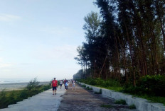 Pantai Panjang Tidak Ada Lagi Parkir Ilegal, Dedy Wahyudi: Kalau Sudah Dikelola Pemkot 