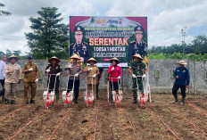 Program Satu Desa 1 Hektare, Polres Kaur Tanam Jagung Serentak 