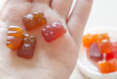 Simak Bund! Inilah 5 Vitamin Gummy Untuk anak menjaga kesehatan tubuh, kenyal dan bernutrisi