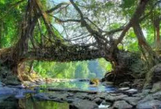 5 Tempat Wisata di Tasikmalaya yang Wajib Dikunjungi Ketika Libur Wekeend