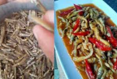 Menikmati Lorjuk: Kuliner Khas Madura dengan Tekstur Lembut juga Rasanya yang Gurih Alami dan Menggugah Selera