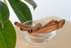 Hasil Penelitian Buktikan Khasiat Konsumsi Kayu Manis dan Manfaatnya untuk Gula Darah