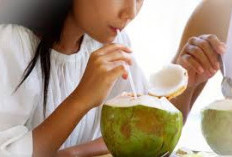 8 Kelompok Orang yang Dianjurkan Minum Air Kelapa