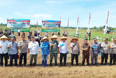 Polresta dan Polda Bengkulu Tanam Jagung di Atas Lahan 5 Hektar, Dukung Program Ketahanan Pangan Nasional