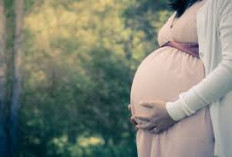 Inilah Deretan Makanan yang bisa membantu Kesuburan Wanita saat Endometriosis, yuk simak girls!