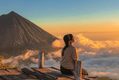 Pesona Puncak Wolobobo; Tempat Wisata Yang Eksotis di NTT. Rasakan Ketenangan dan Keindahan Alam Diatas Awan