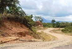 Pembangunan Jalan Inpres Dilanjutkan Tahun Depan