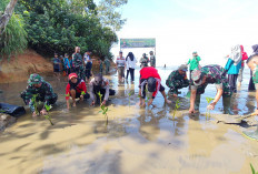 Kodim 0423 Bengkulu Utara Gelar Penanaman 1000 Pohon Mangrove