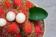 Inilah Manfaat Buah Rambutan Yang Mengandung Sejumlah Nutrisi Bagi Tubuh, Apa Saja?