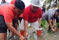 Bupati BS Laksanakan Tanam Benih Padi, Ini Tujuannya