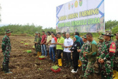 Dandim 0423/BU Siapkan Lahan Urban Farming Dukung Program Makan Bergizi Gratis