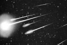 Meteor Leonid Hujani Bumi Hingga 2 Desember 2023