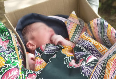 Bayi Dalam Kardus Dirawat di RS Bhayangkara, Kondisinya Sehat