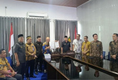 Gusnan Mulyadi Sampaikan LKPD Unaudited 2024 Kepada BPK
