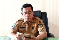 Ayoo... Ikuti Seleksi Terbuka JPTP Pemerintah Kabupaten Bengkulu Selatan
