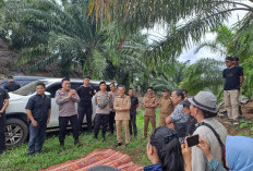 Wabup Kaur Didampingi Kapolres Mediasi Massa FPWK dan ASBS di Lokasi Perkebunan PT. Dinamika Selaras Jaya