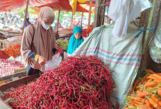 Harga Cabai Merah Terjun Bebas di Pasar Panorama, Pedagang Mengeluh 