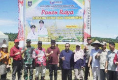 Saat Panen Raya, Bupati Arie Ajak Petani Wujudkan Swasembada Pangan