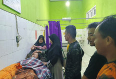 Penjelasan Perempuan Ipuh yang Hilang Bisa Selamat setelah Diduga Tidak Makan Selama 5 Hari   