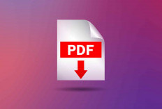Masih Bingung Cara Kompres PDF karena Kualitasnya Berkurang? Disini Penjelasannya