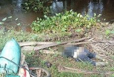 Geger, Mayat Tertelungkup Ditemukan Warga di Kebun Sawit