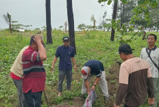 Awal 2026, Pemkot Bengkulu Mobilisasi ASN untuk Revitalisasi Program GEMPALA di Pantai Panjang