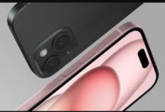 Harga iPhone 15 Plus Terbaru di iBox April 2024, Spesifikasinya
