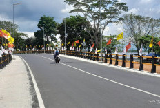Gubernur Bengkulu Setujui Penertiban Bendera Partai di Jembatan Kota Bengkulu