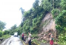 Gerak Cepat, Piket Yanmas Polres Kaur Tangani Longsor di Jalan Lintas Barat Sumatera